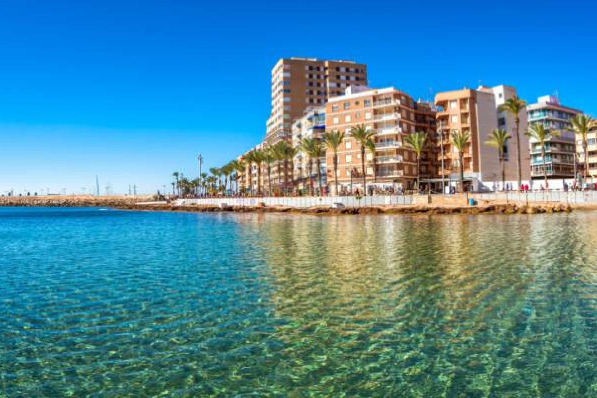 New Build - Apartment -
Algorfa