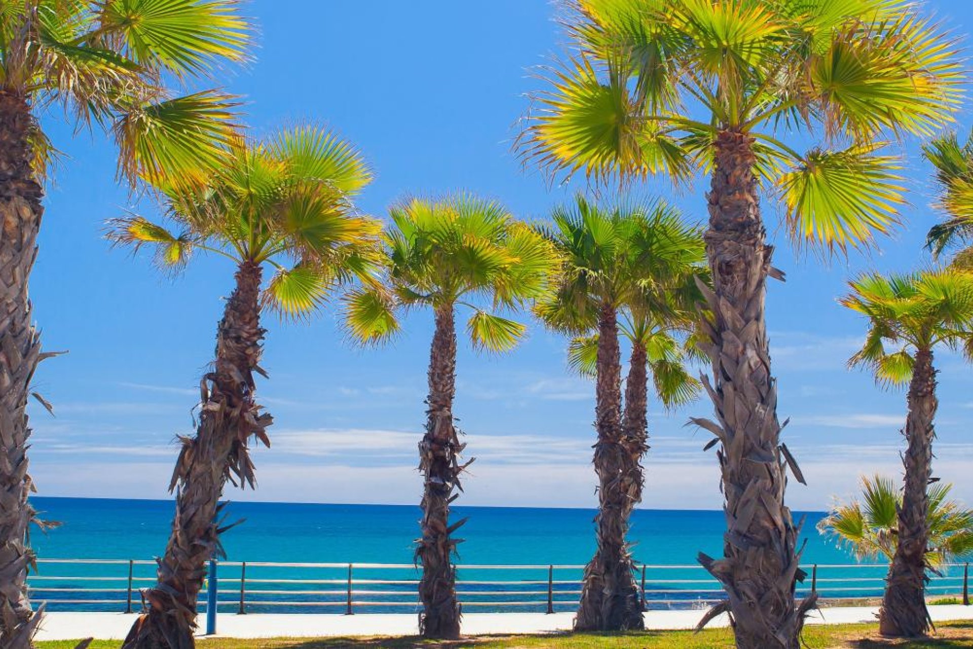 New Build - Apartment -
Cabo Roig