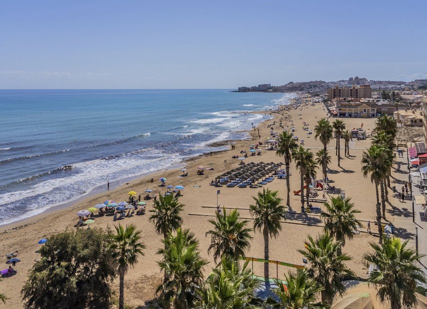New Build - Apartment -
La Mata