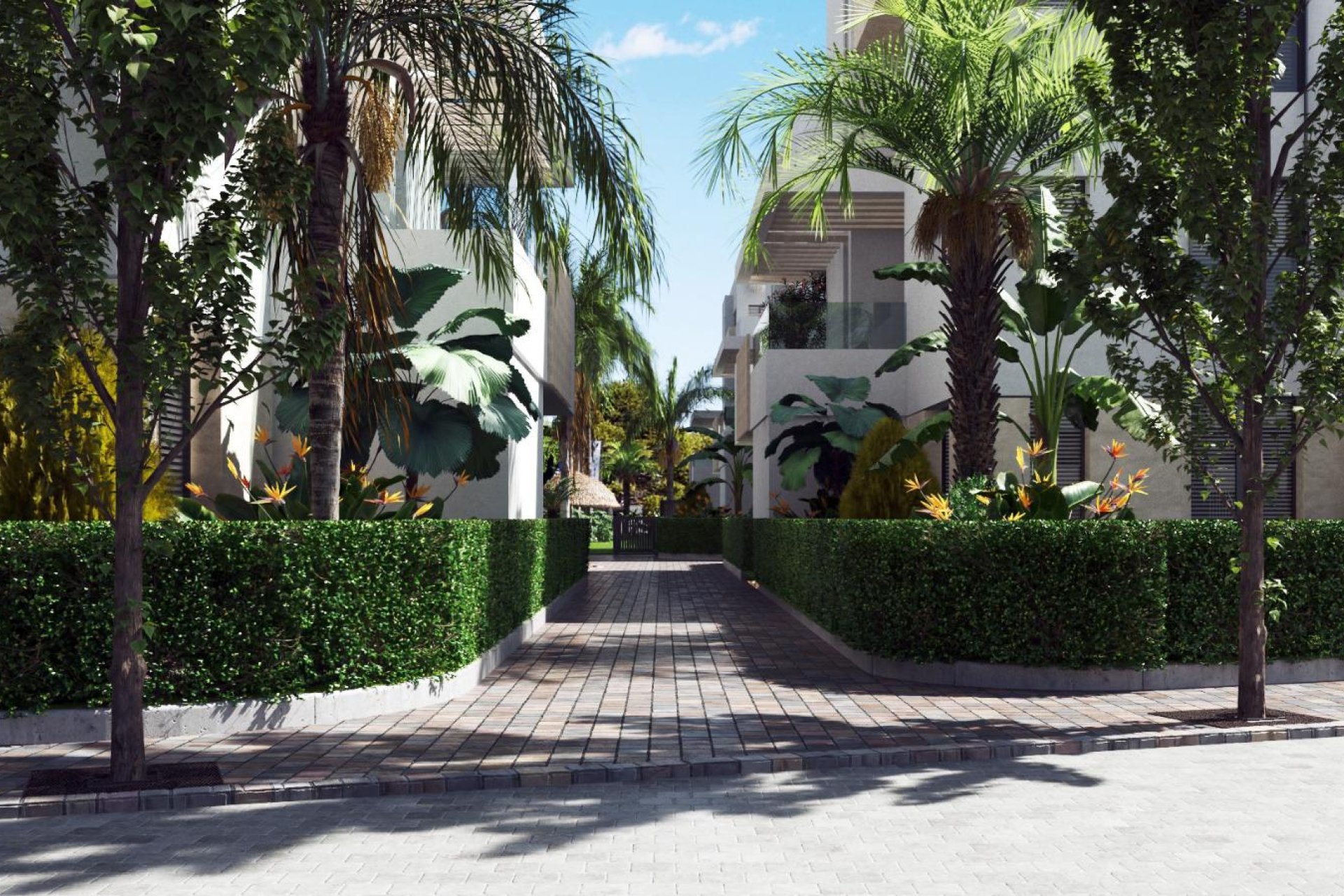 New Build - Apartment -
Torre-Pacheco