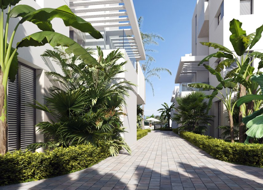 New Build - Apartment -
Torre-Pacheco