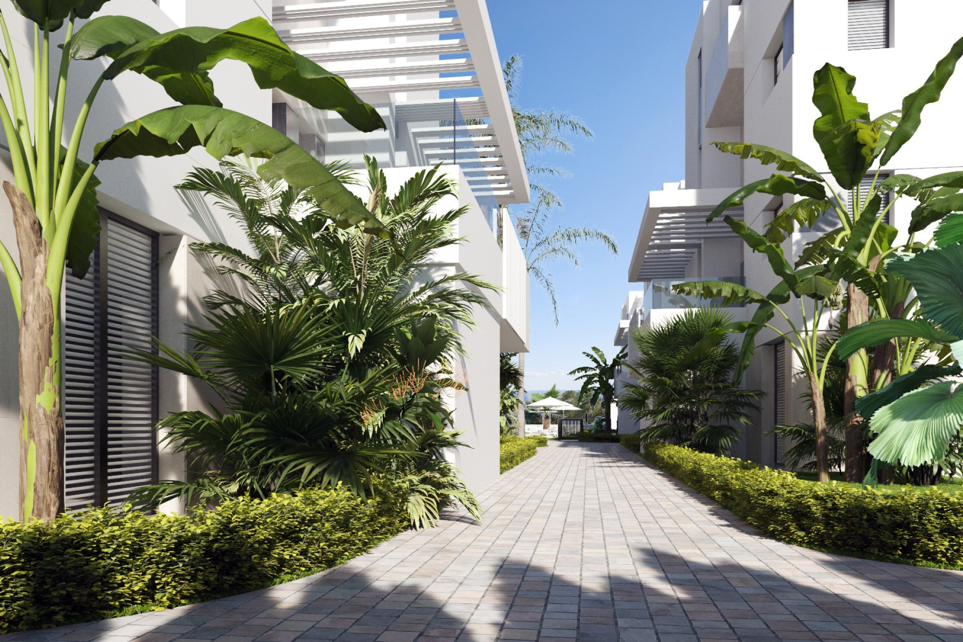 New Build - Apartment -
Torre-Pacheco