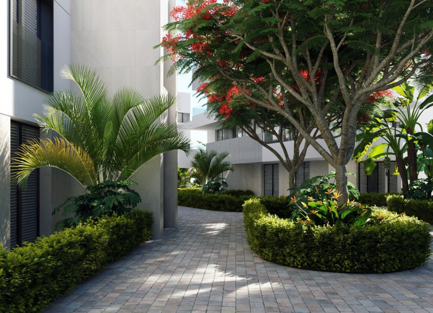 New Build - Apartment -
Torre-Pacheco