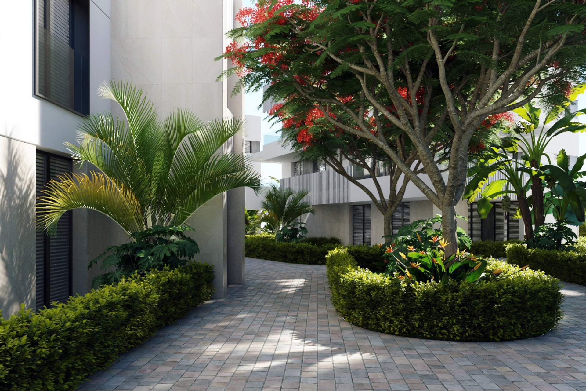 New Build - Apartment -
Torre-Pacheco