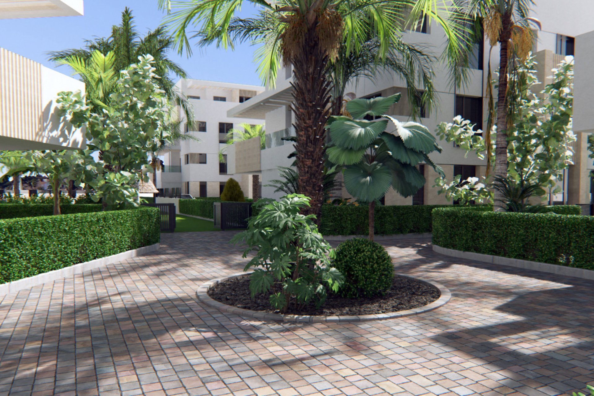 New Build - Apartment -
Torre-Pacheco