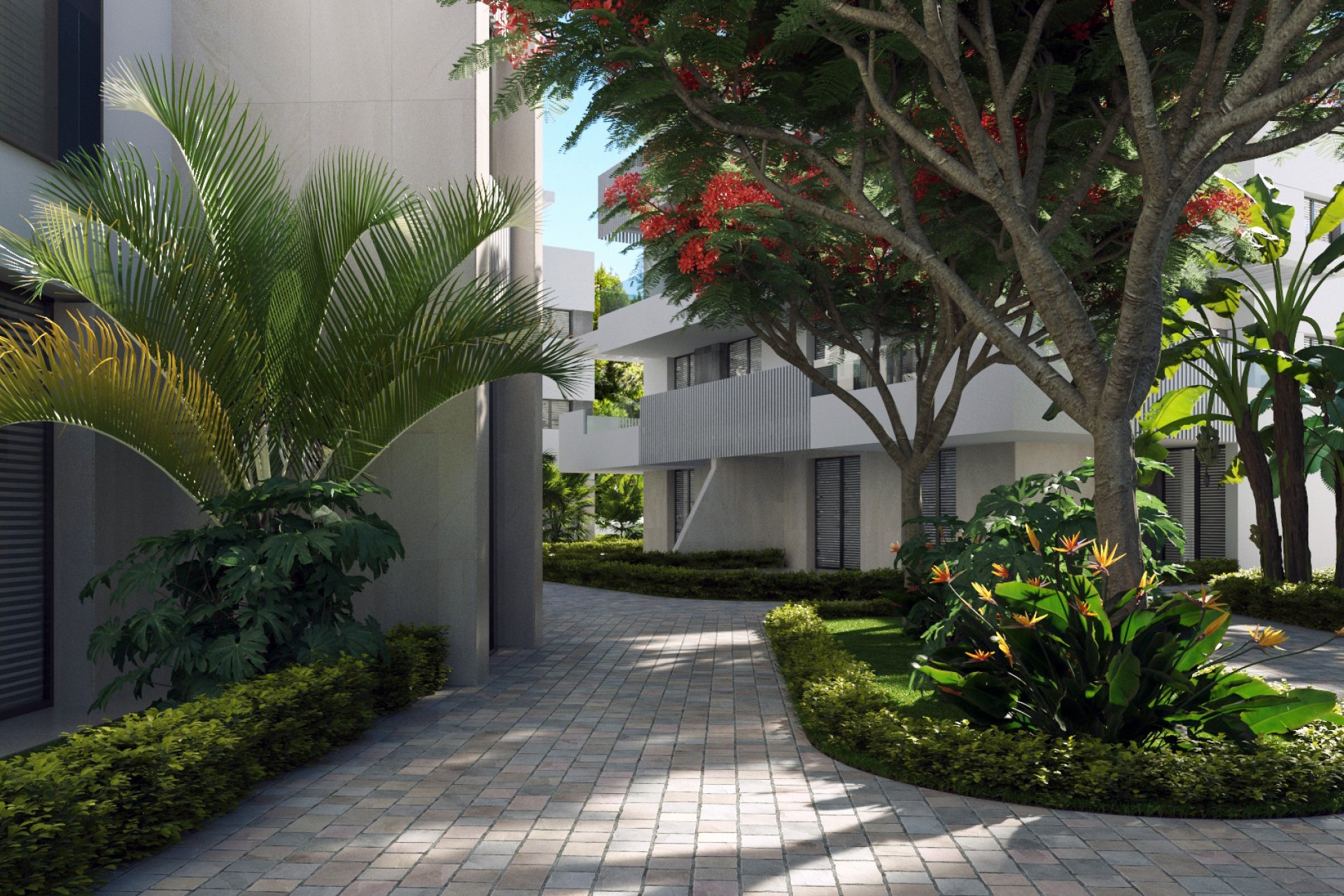 New Build - Apartment -
Torre-Pacheco