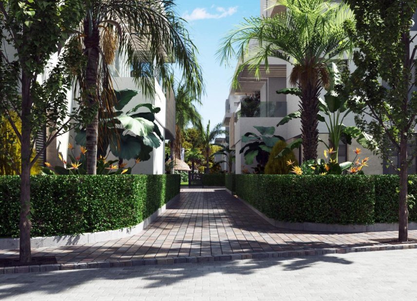 New Build - Apartment -
Torre-Pacheco