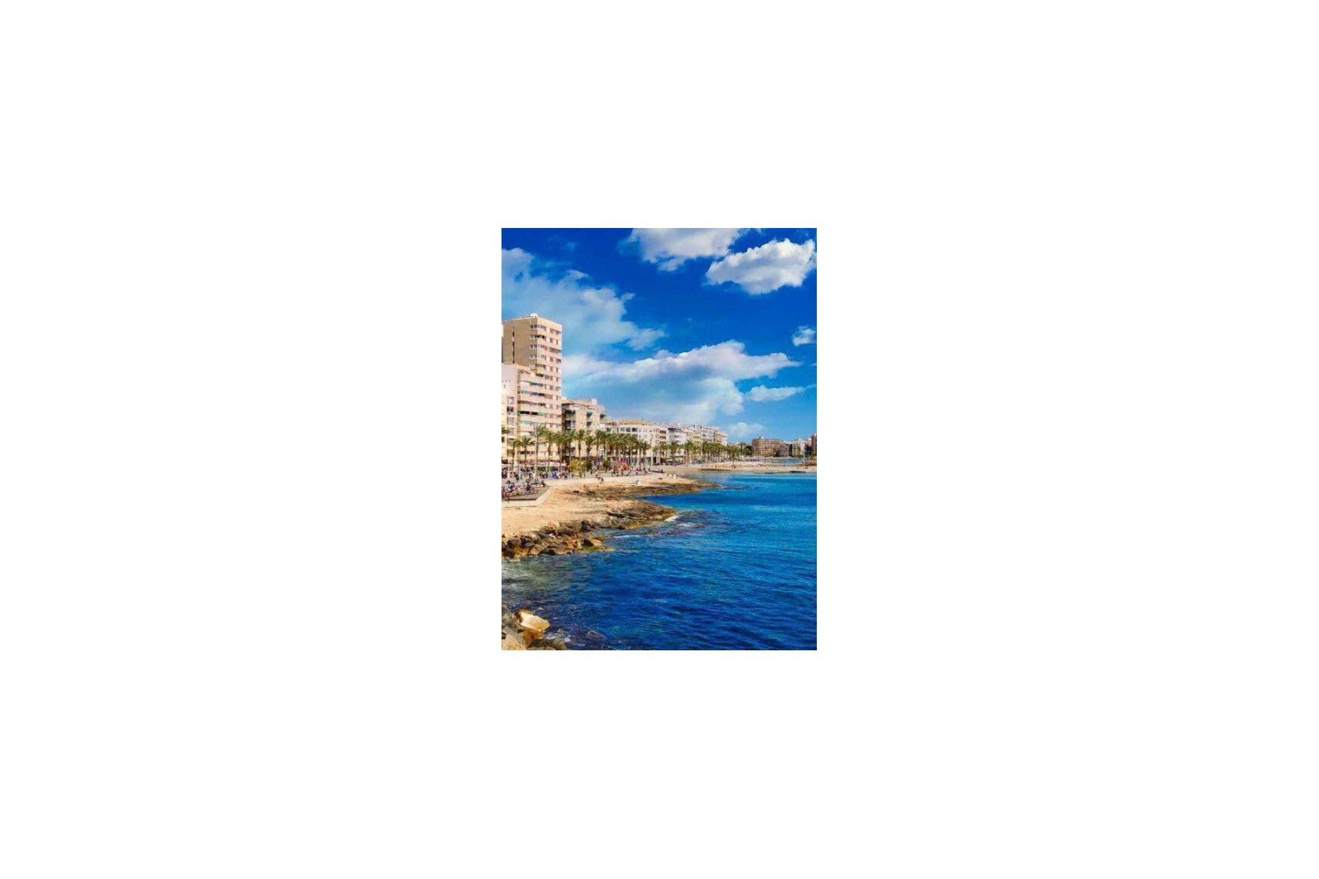 New Build - Apartment -
Torrevieja