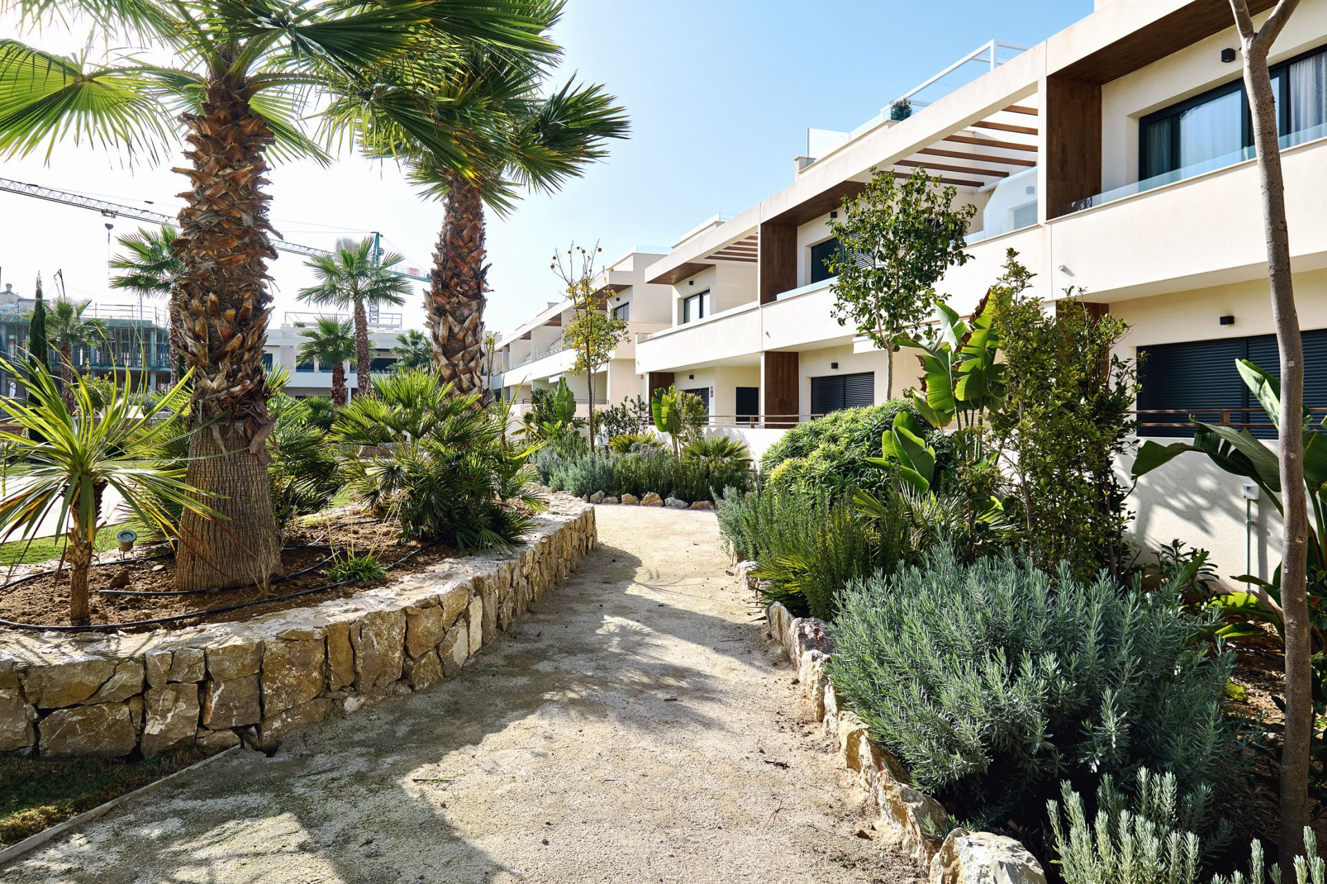New Build - Apartment -
Torrevieja