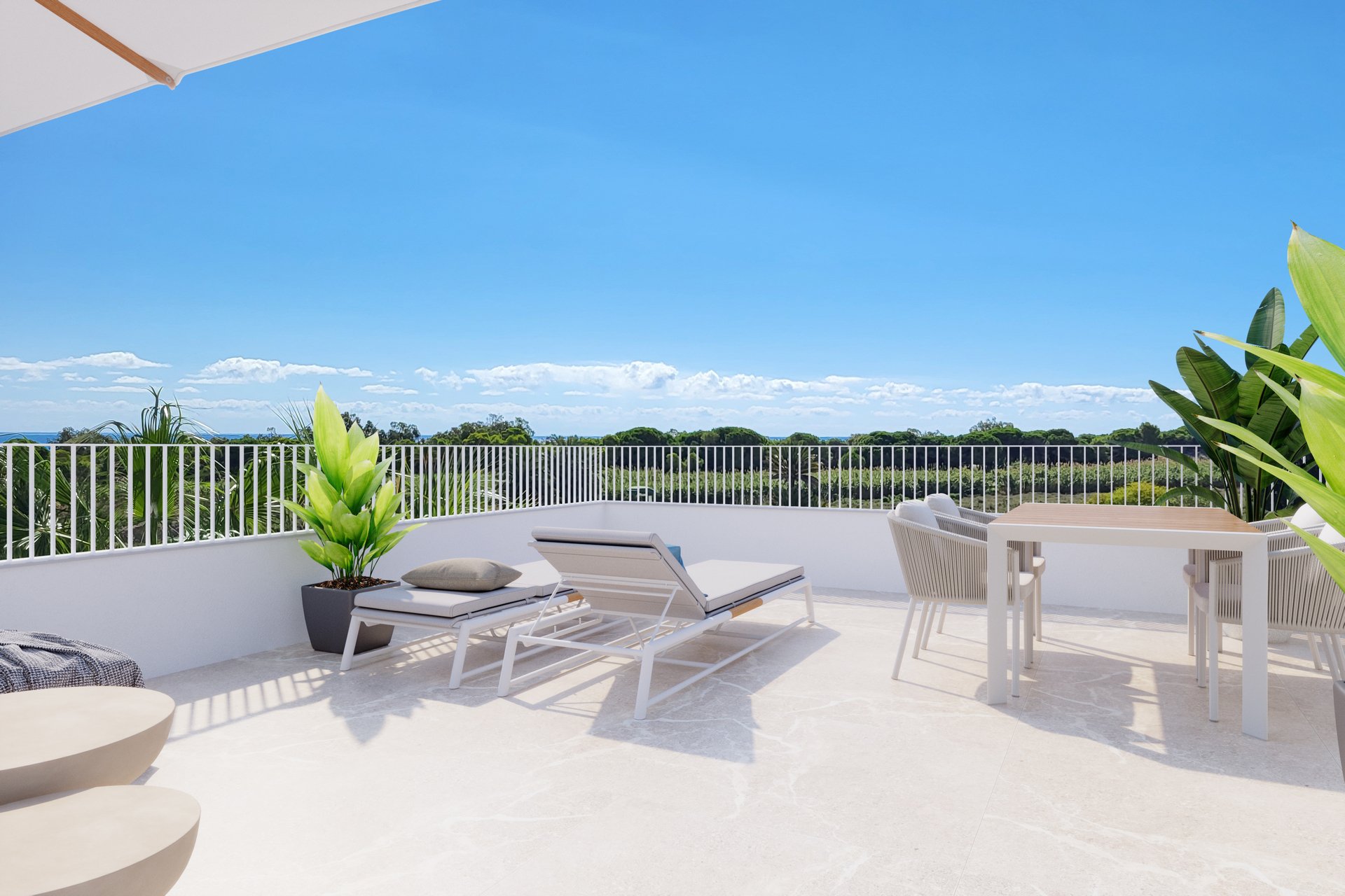 New Build - Villa -
Elche