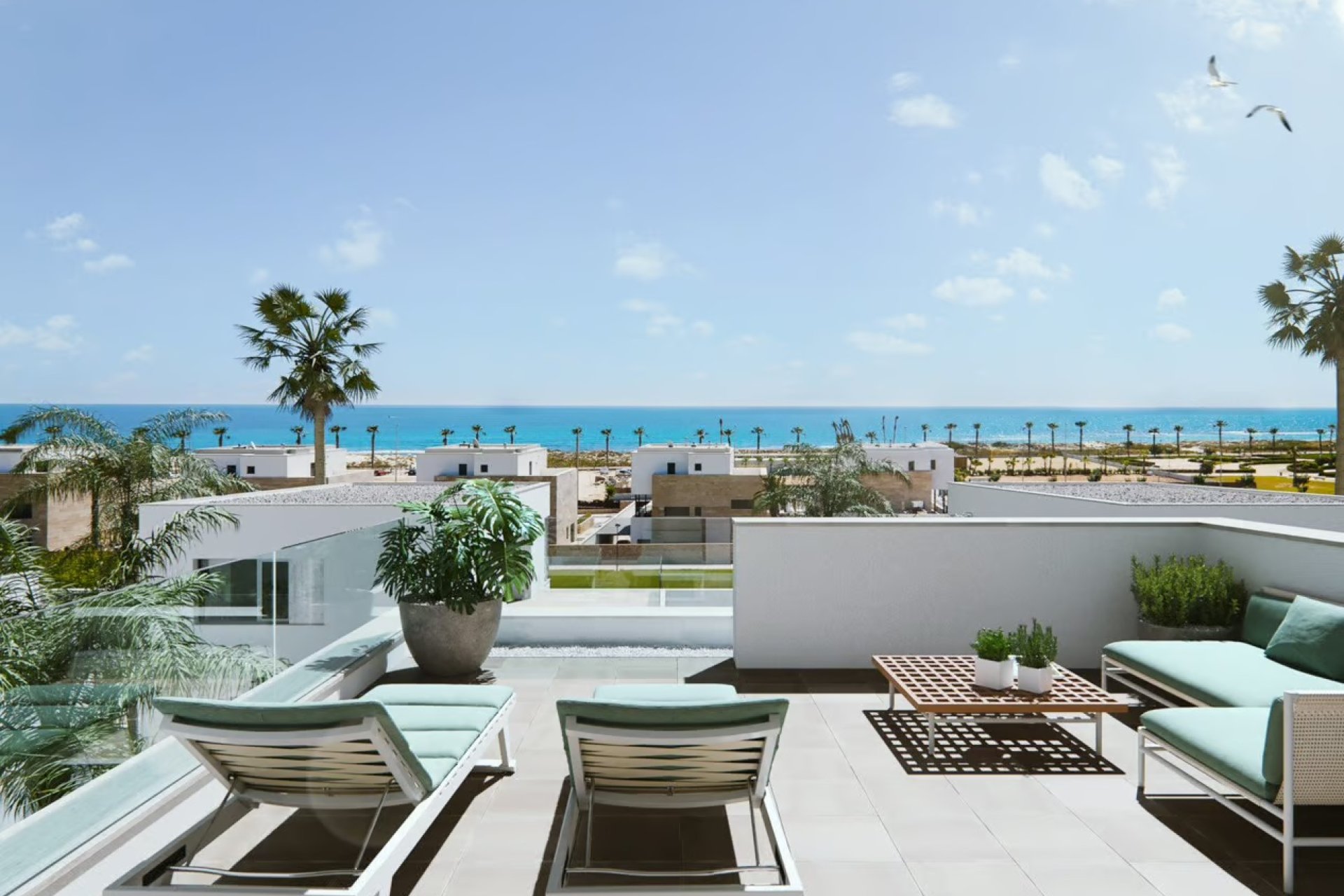 New Build - Villa -
Pilar de la Horadada