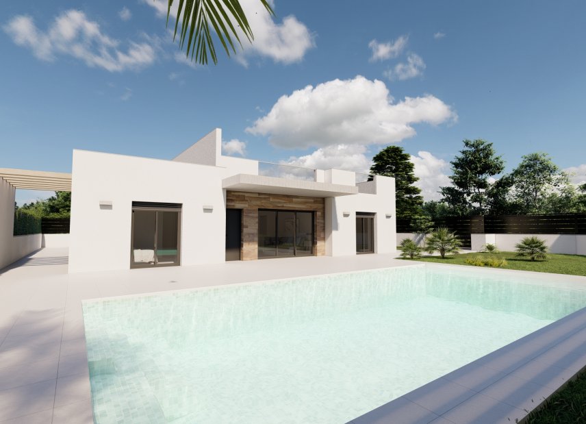 New Build - Villa -
Roldán