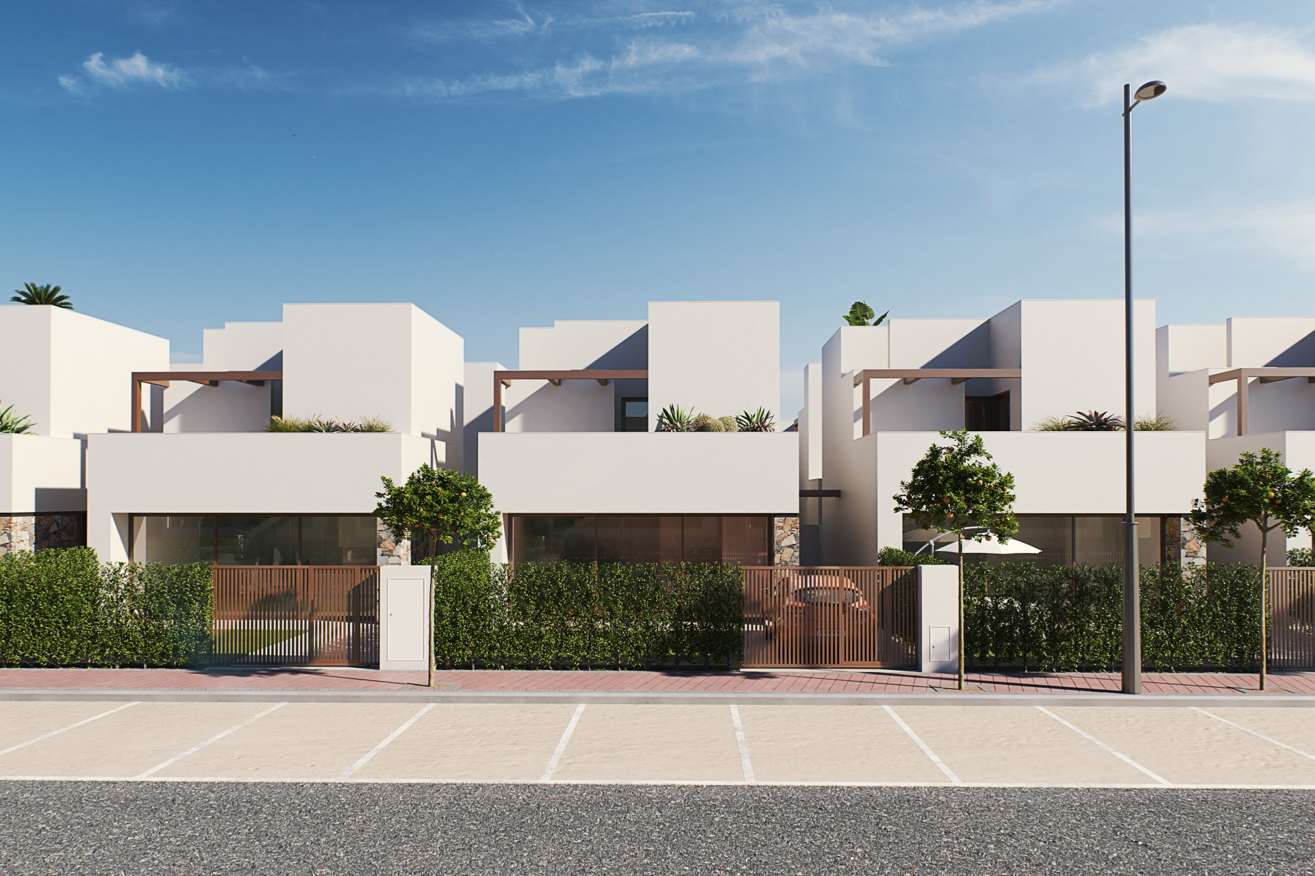 New Build - Villa -
Torre-Pacheco