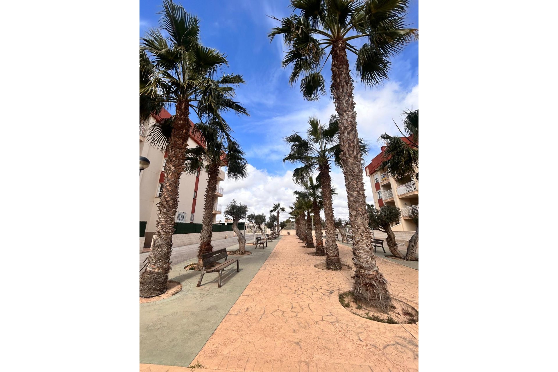 Nybyggeri - Lejlighed -
Orihuela Costa