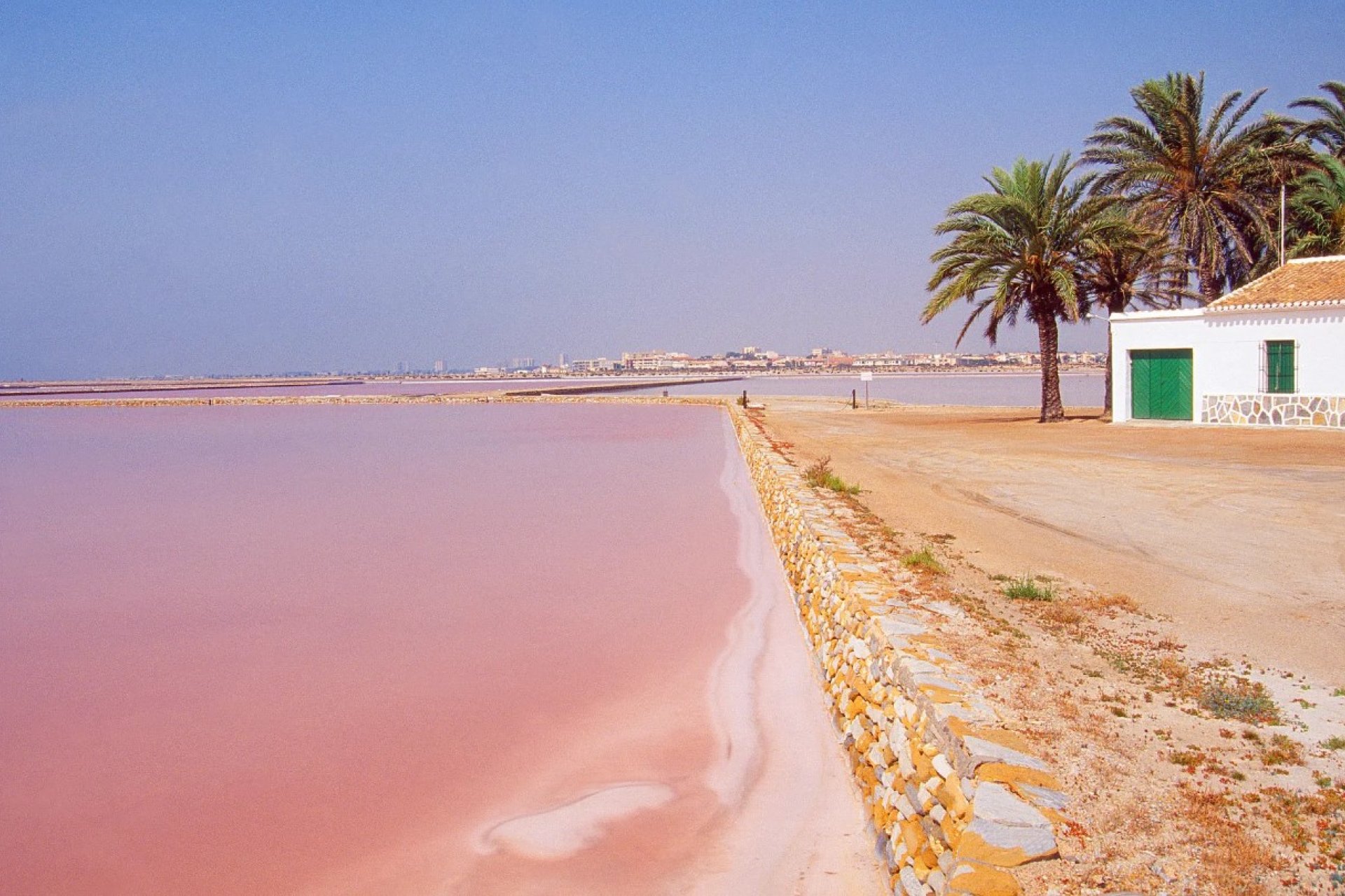 Nybyggeri - Lejlighed -
San Pedro del Pinatar