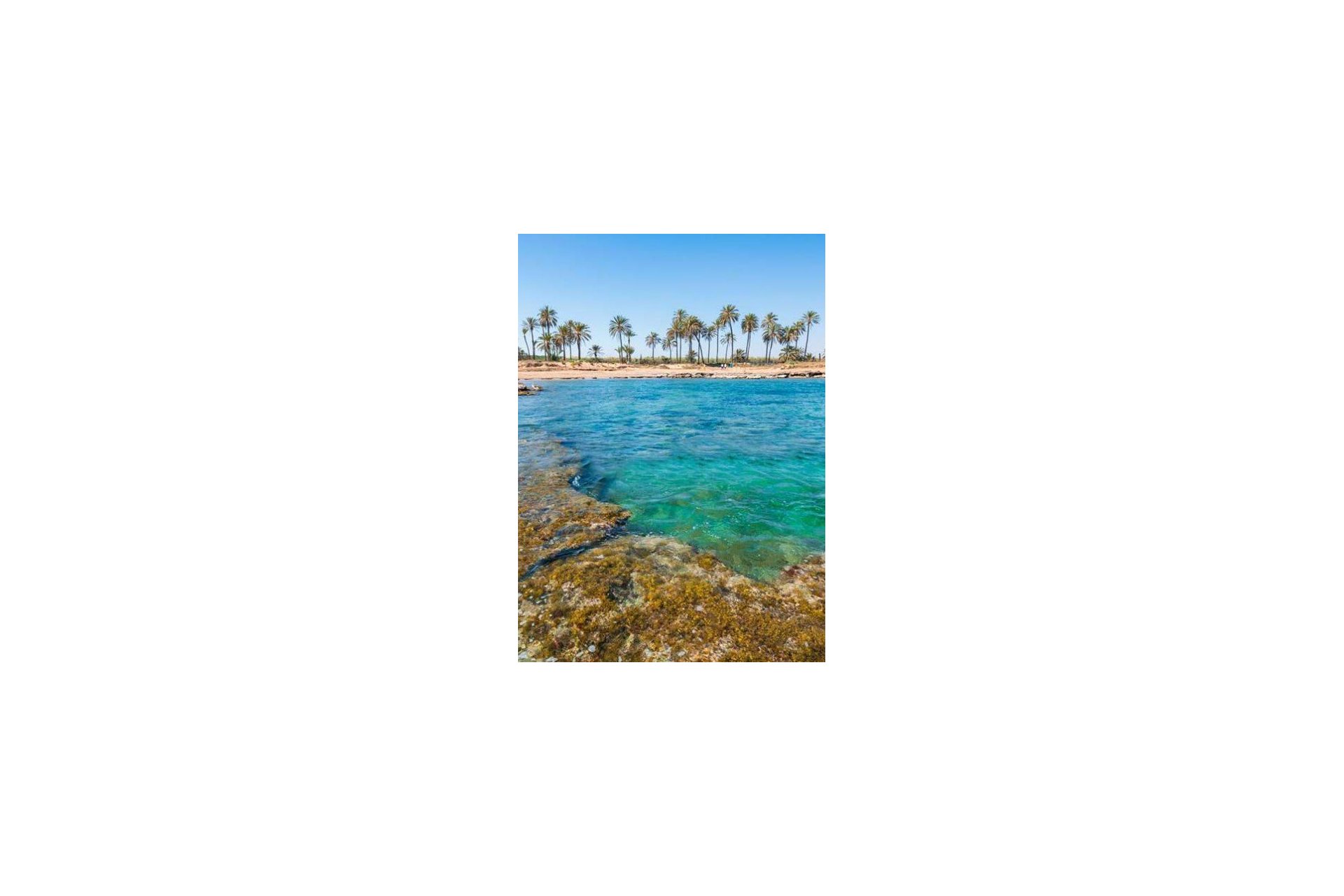 Nybyggeri - Lejlighed -
Torrevieja