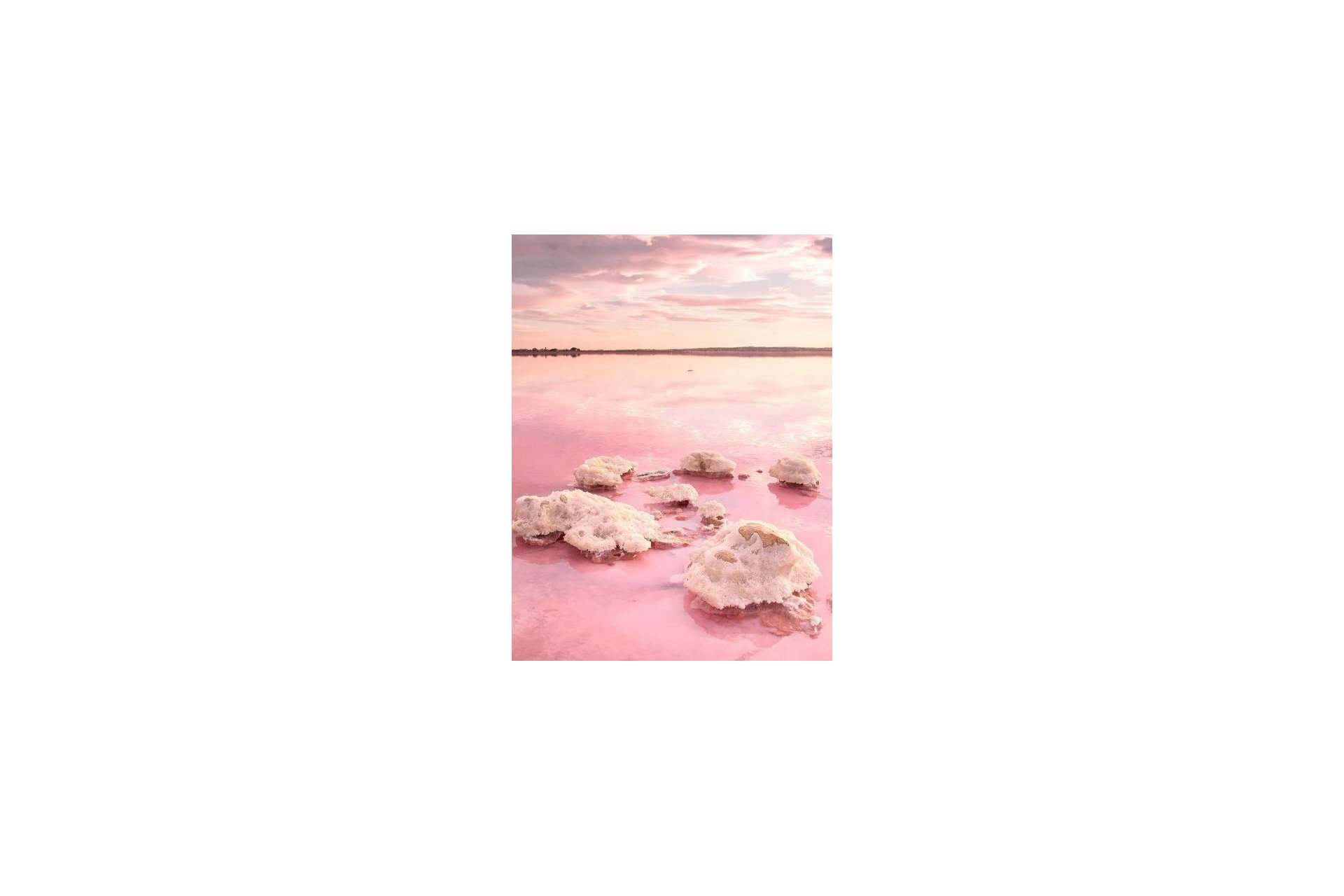 Nybyggeri - Lejlighed -
Torrevieja