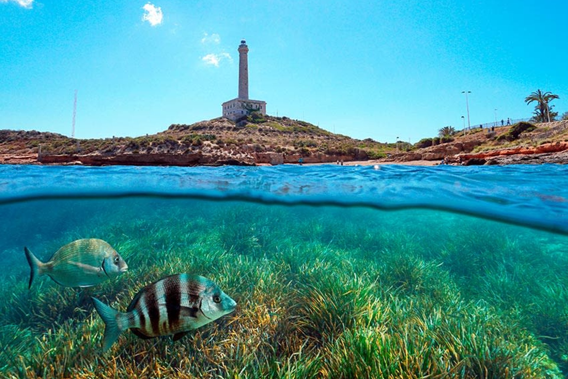 Nybyggeri - Villa -
Islas Menores