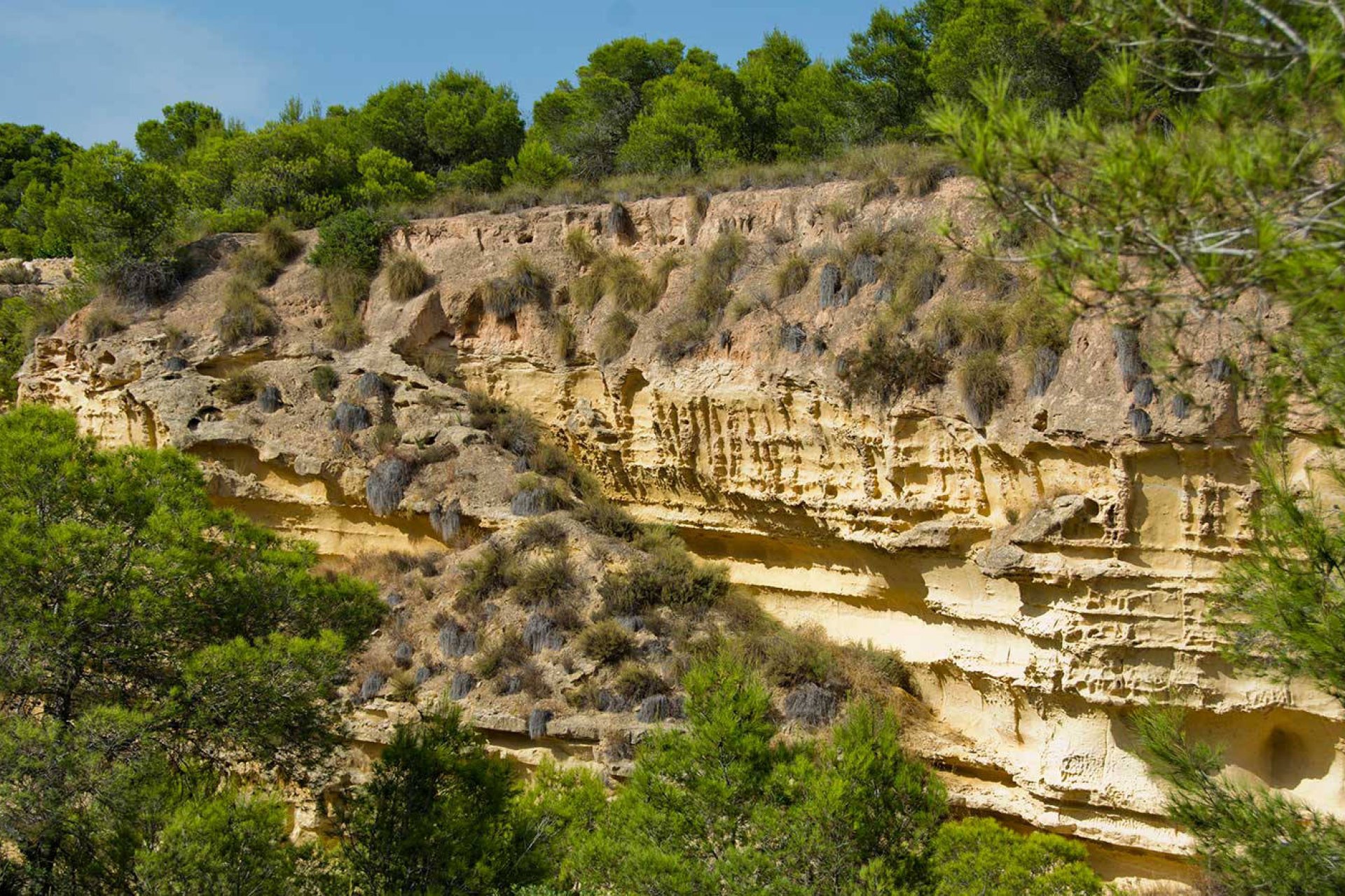 Nybyggeri - Villa -
Pinar de Campoverde