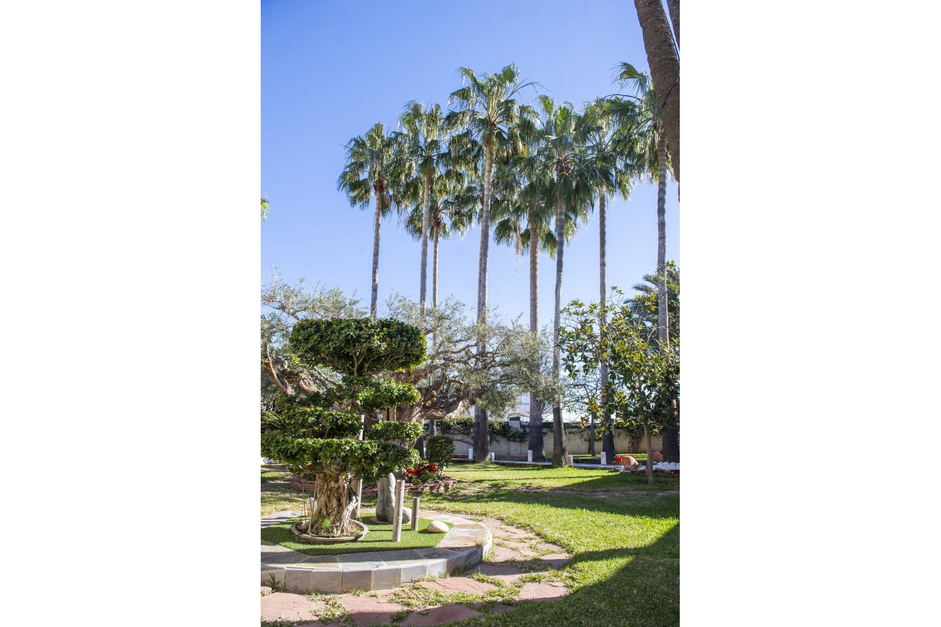 Nybyggeri - Villa -
San Pedro del Pinatar