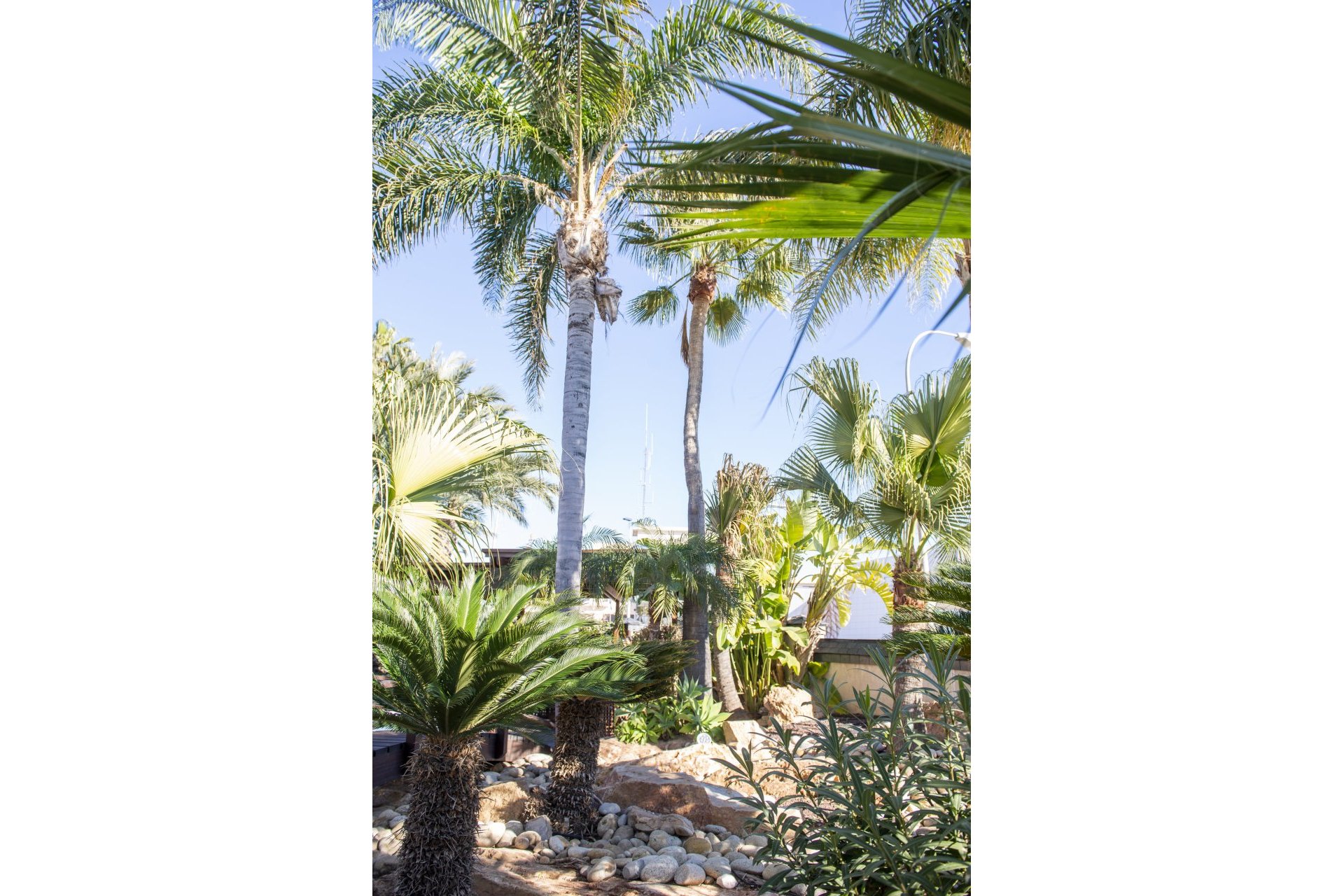Nybyggeri - Villa -
San Pedro del Pinatar