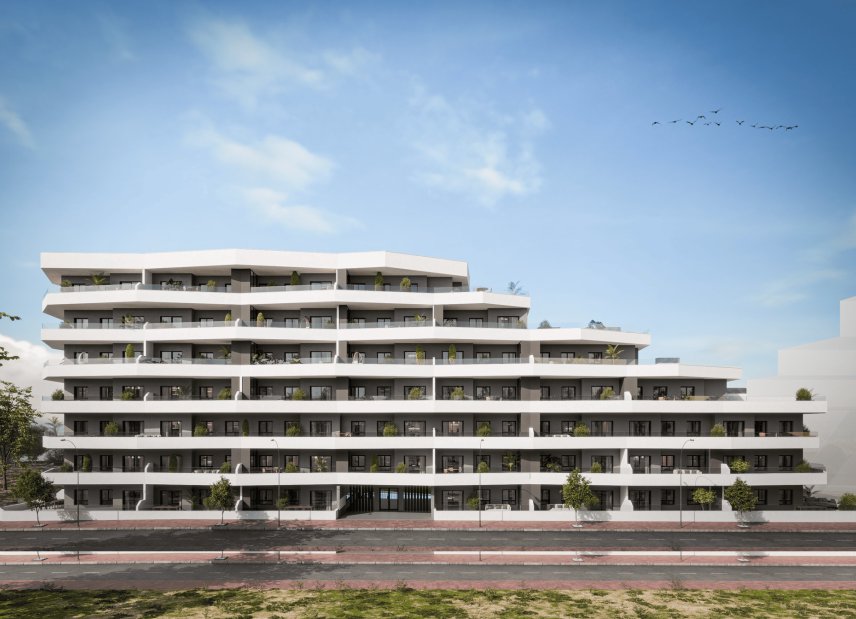 Obra nueva - Apartamento -
San Miguel de Salinas