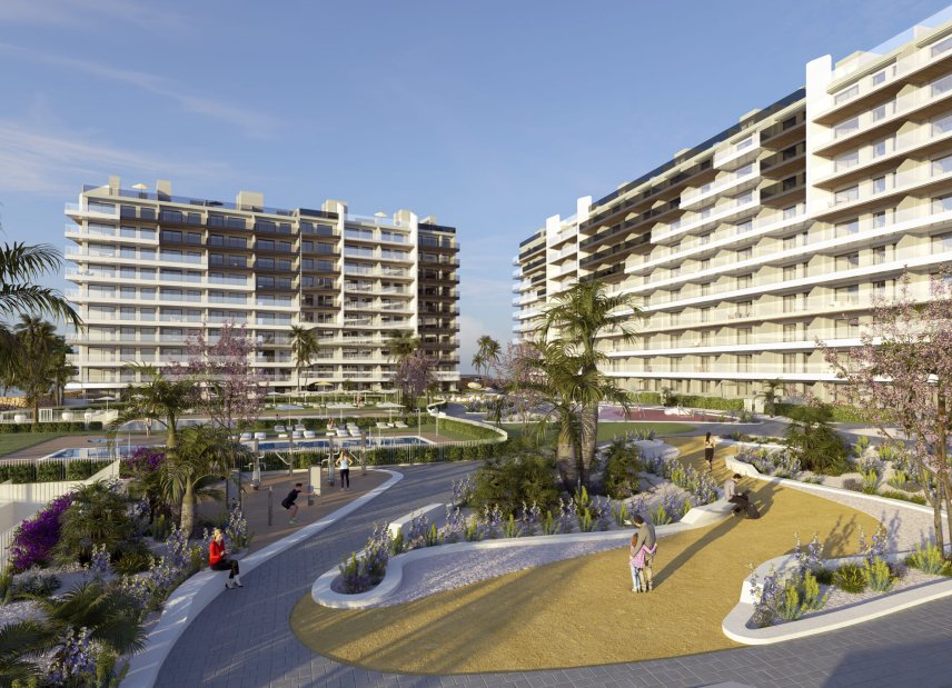Obra nueva - Apartamento -
Torrevieja