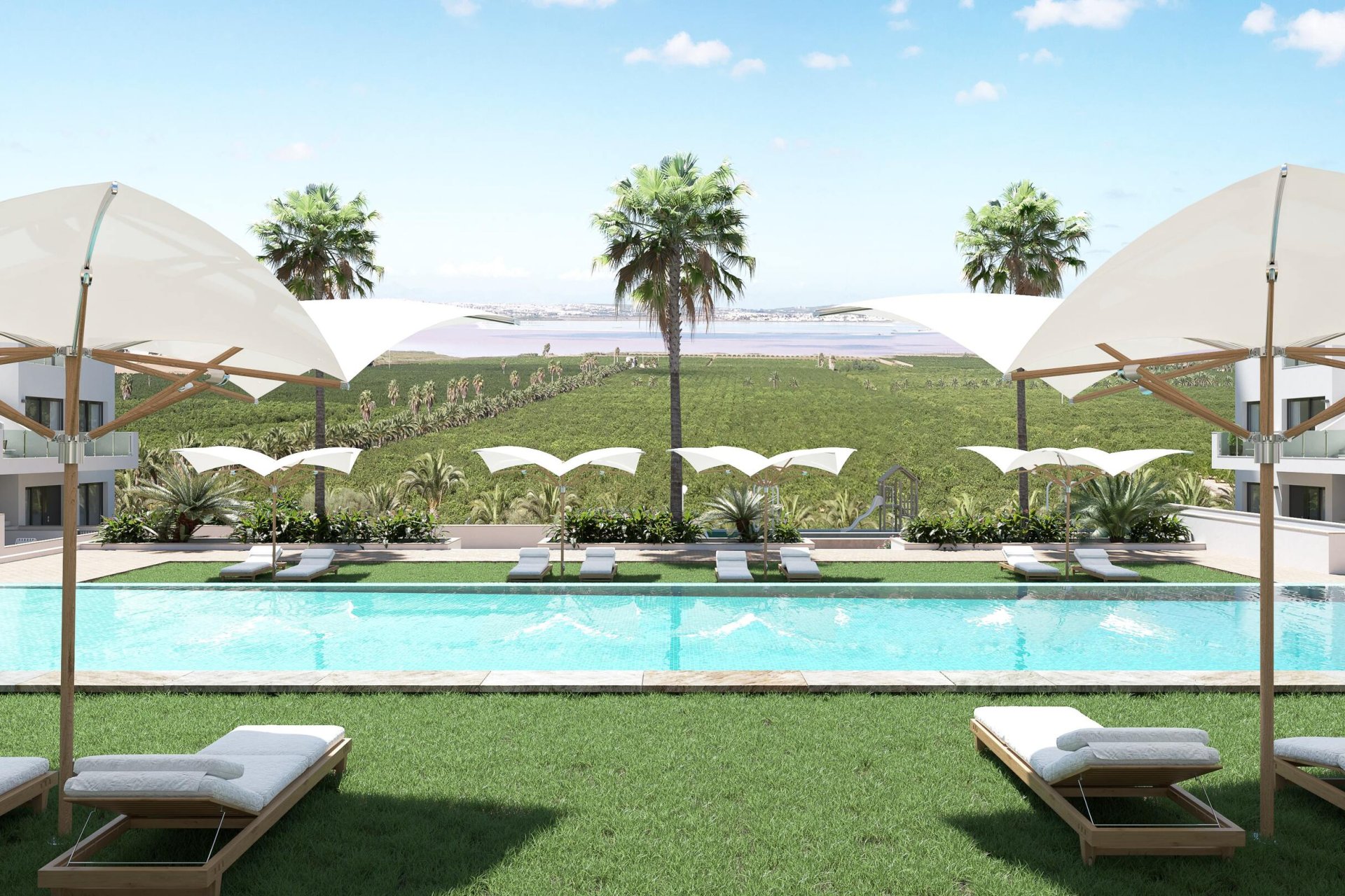 Obra nueva - Apartamento -
Torrevieja