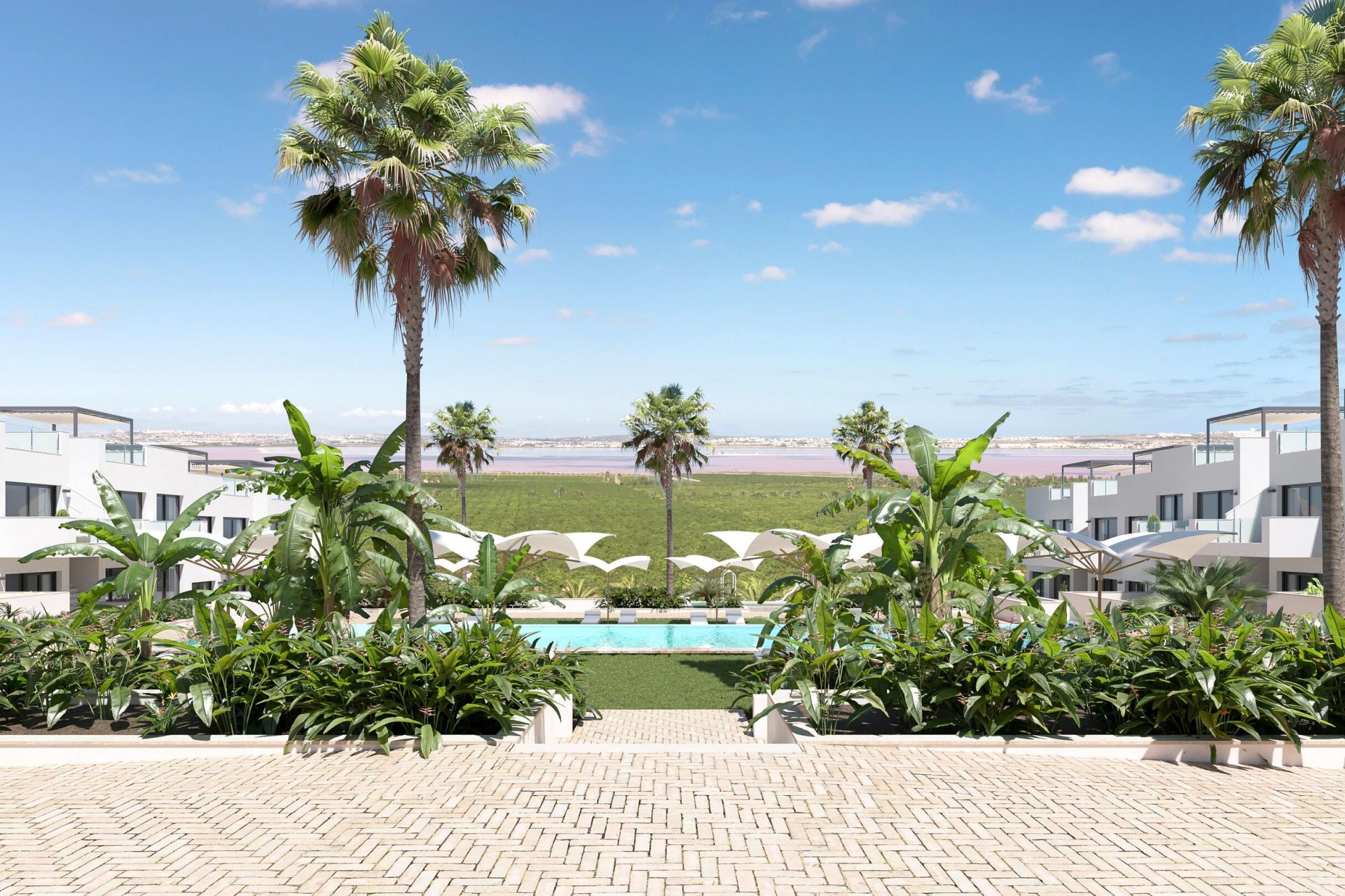 Obra nueva - Apartamento -
Torrevieja