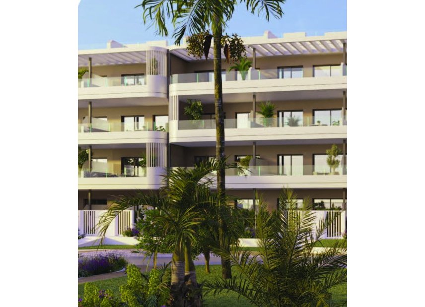 Obra nueva - Apartamento -
Torrevieja