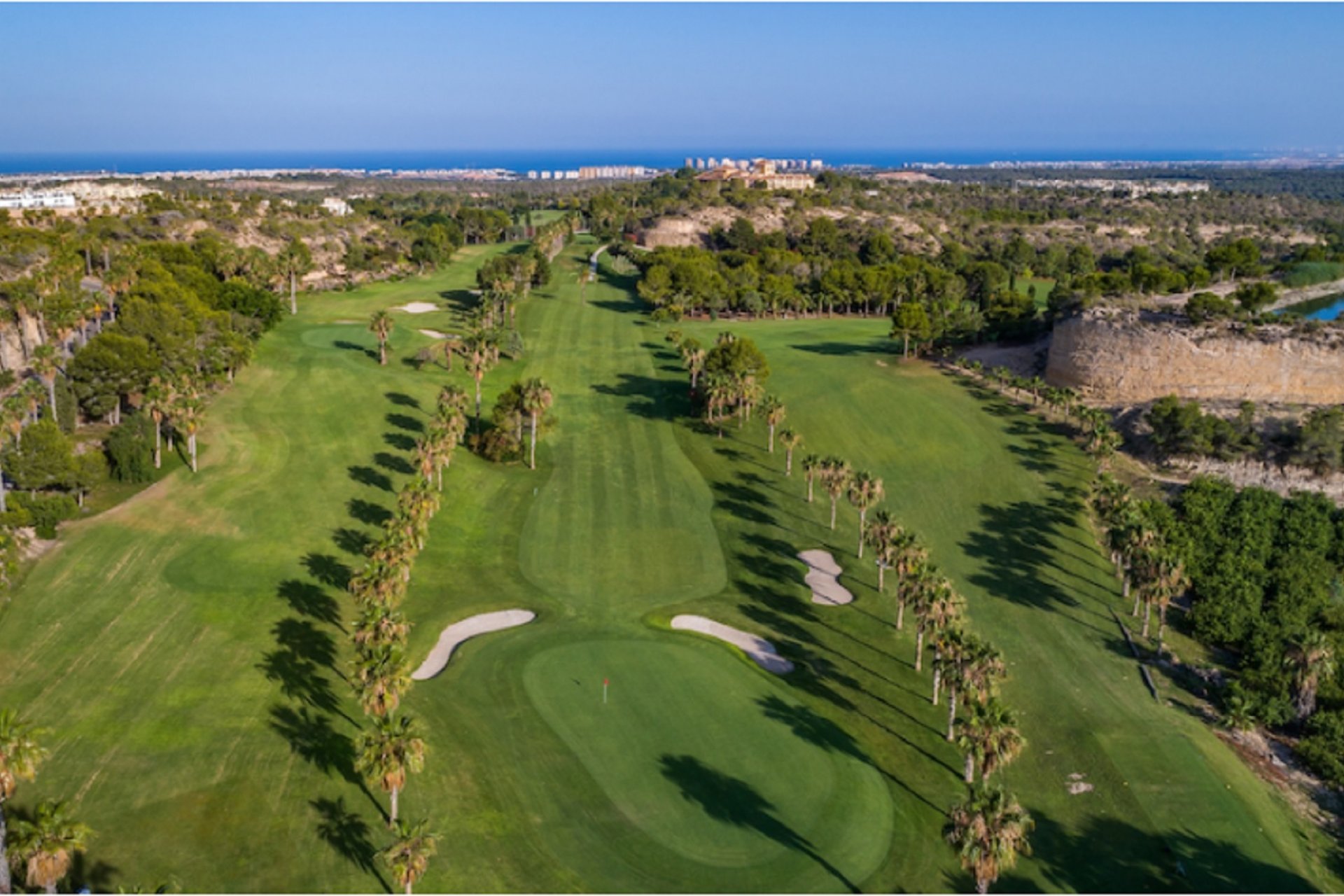 Obra nueva - Villa -
Algorfa