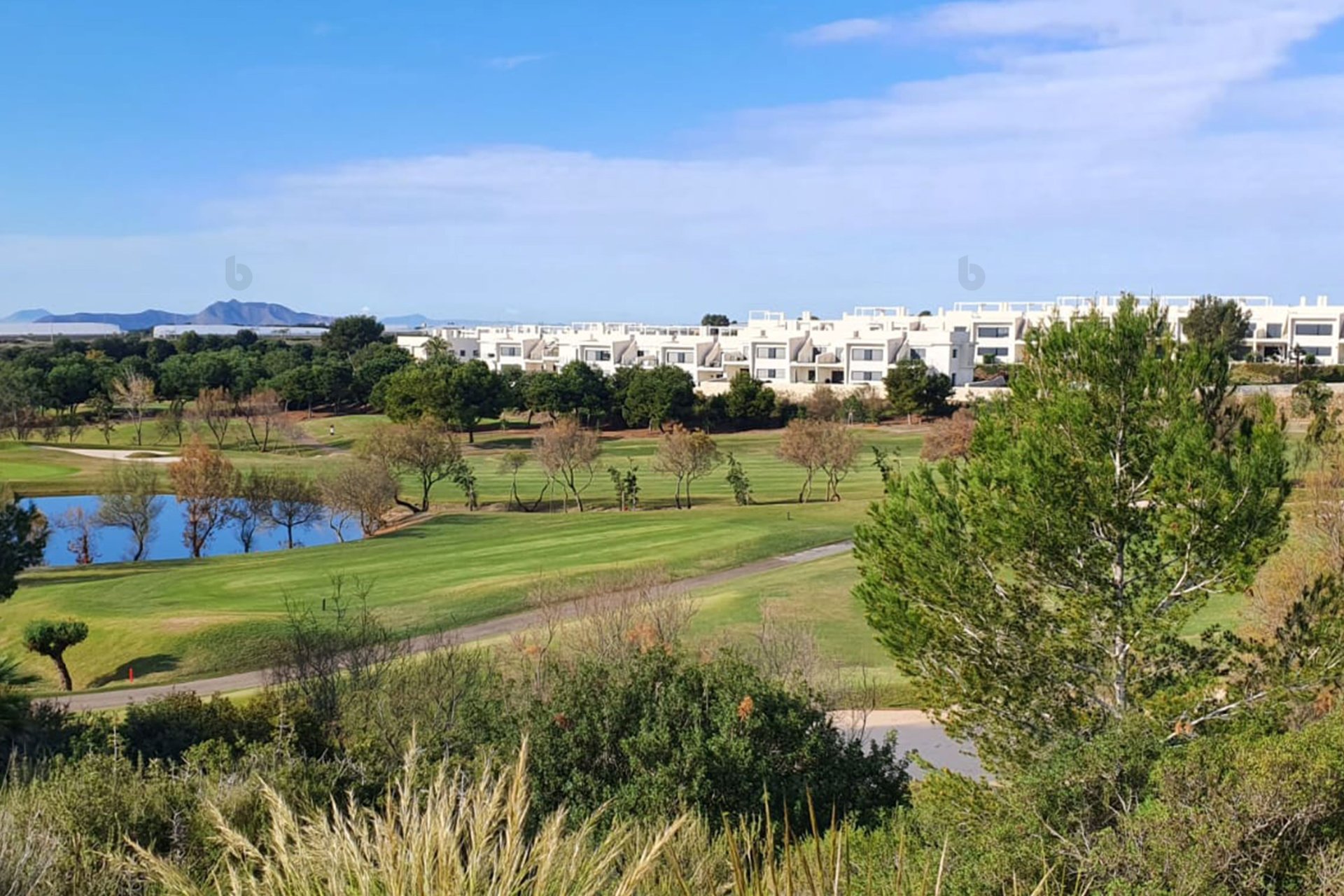 Obra nueva - Villa -
Pilar de la Horadada