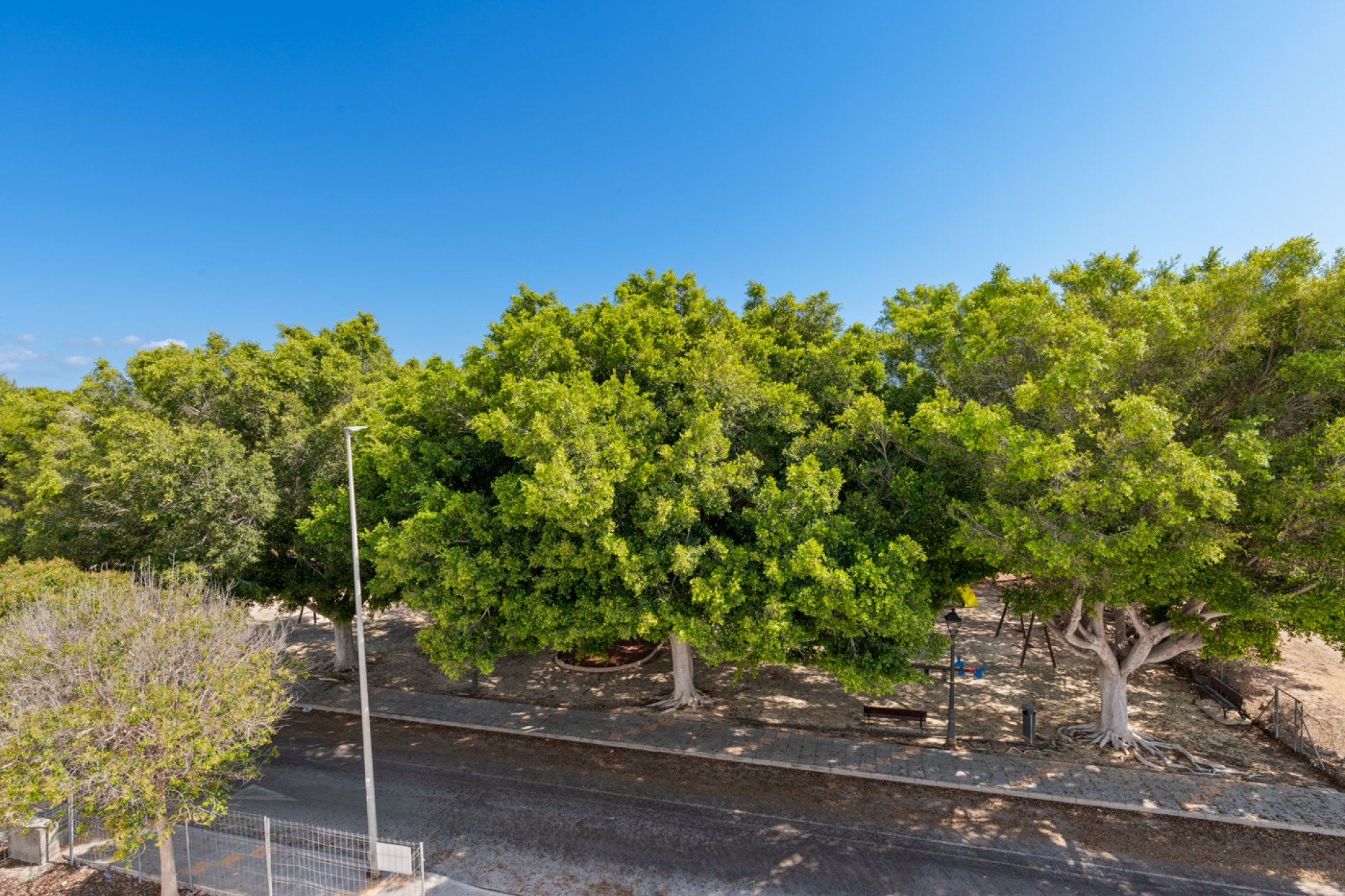Obra nueva - Villa -
Pilar de la Horadada