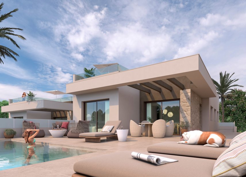 Obra nueva - Villa -
Rojales