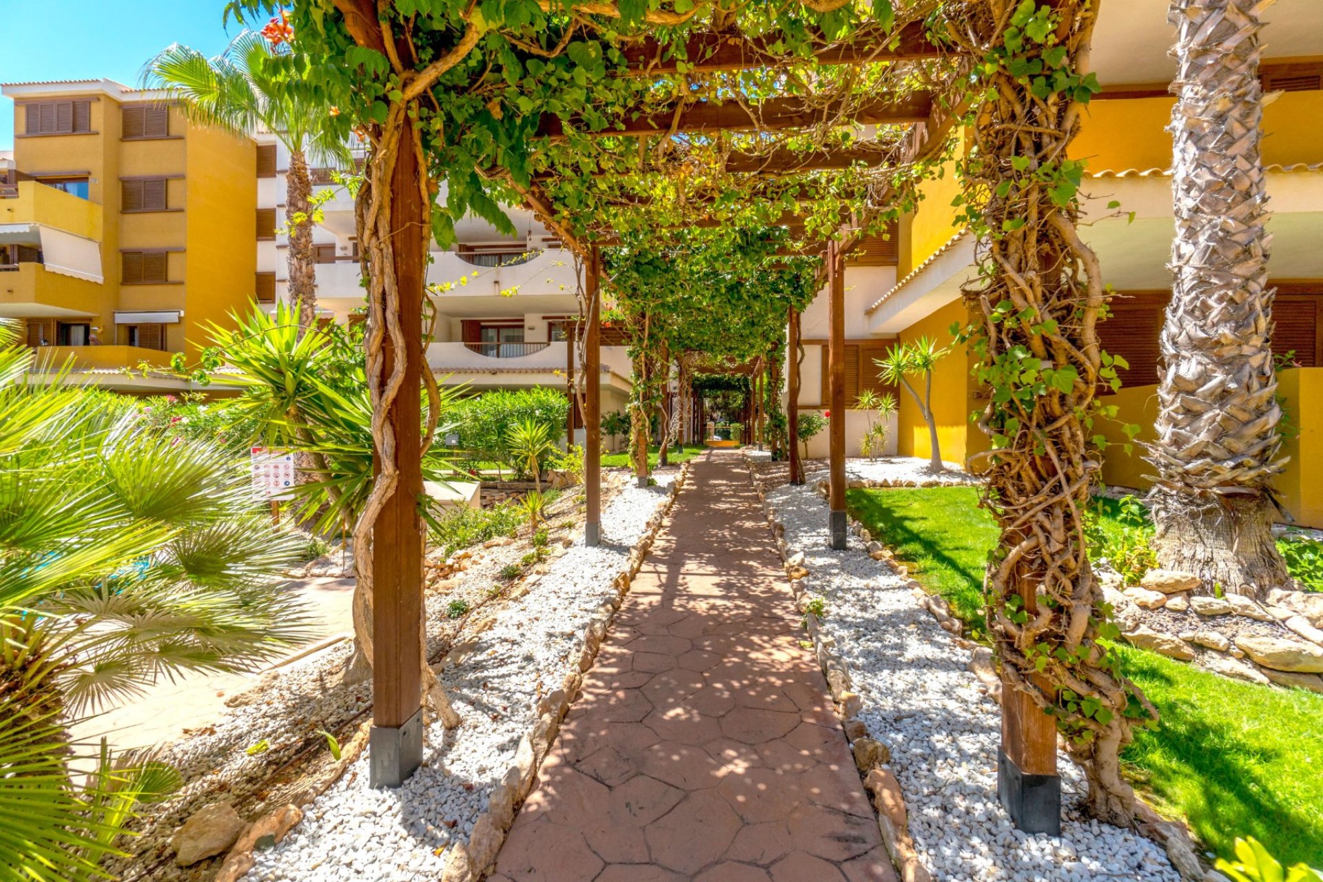 Reventa - Apartamento -
Orihuela Costa - Punta Prima