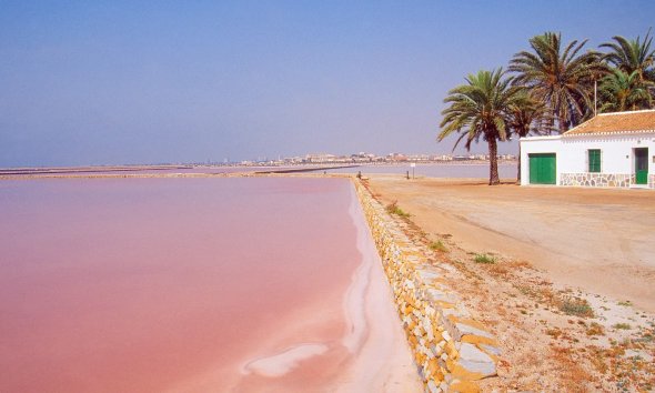 Nybyggeri - Lejlighed -
San Pedro del Pinatar