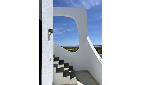 New Build - Villa -
Rojales