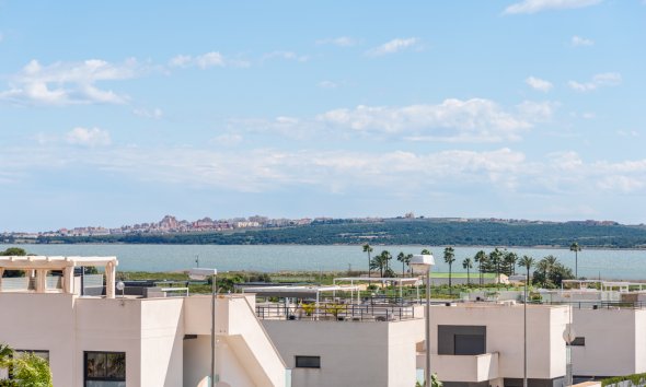 Obra nueva - Villa -
Los Montesinos