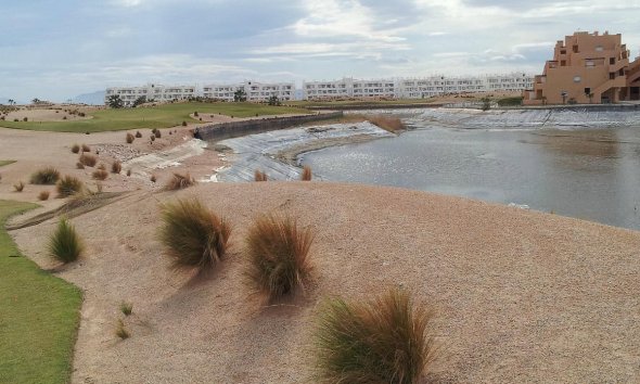 New Build - Villa -
Torre-Pacheco