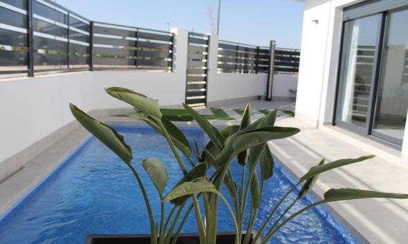 New Build - Villa -
Torre-Pacheco