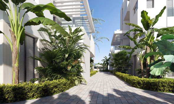 New Build - Apartment -
Torre-Pacheco