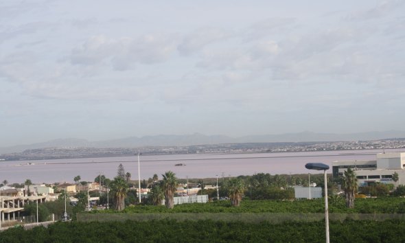 Nybyggeri - Rækkehus -
Torrevieja