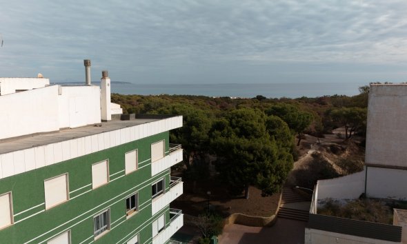 New Build - Apartment -
Guardamar del Segura