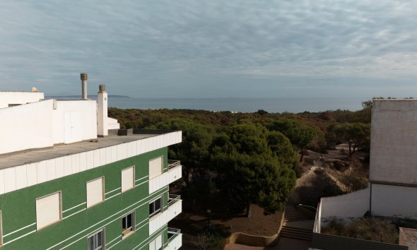 New Build - Apartment -
Guardamar del Segura