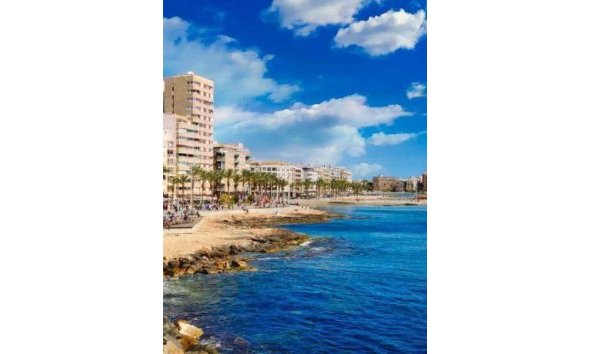 New Build - Apartment -
Torrevieja