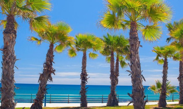 New Build - Apartment -
Cabo Roig