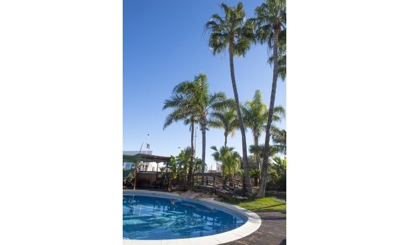 Obra nueva - Villa -
San Pedro del Pinatar