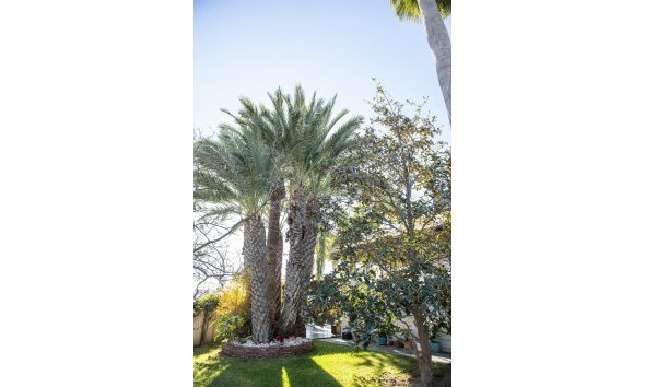 Nybyggeri - Villa -
San Pedro del Pinatar