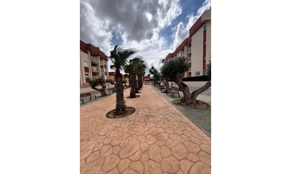 Nybyggeri - Lejlighed -
Orihuela Costa
