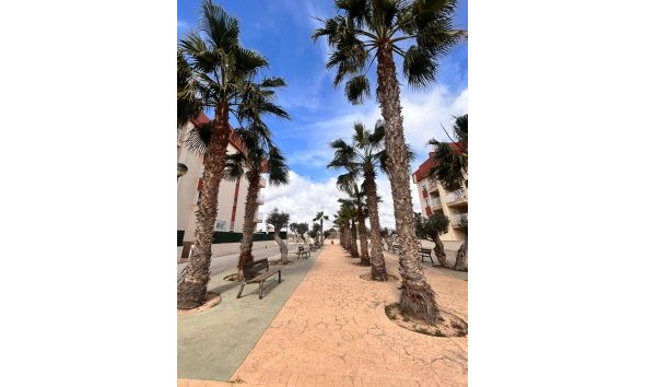 Nybyggeri - Lejlighed -
Orihuela Costa